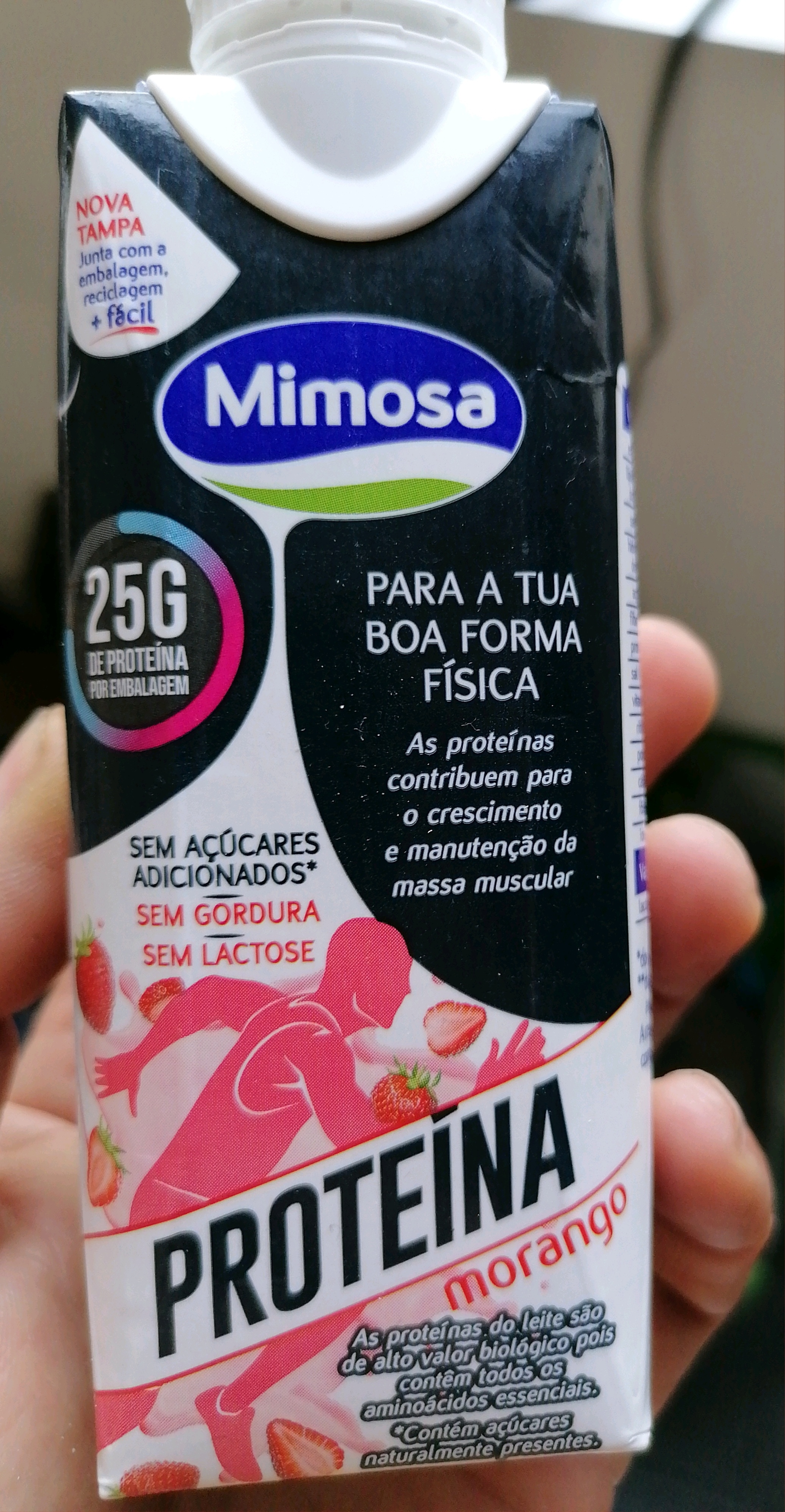 Leite Proteína Morango